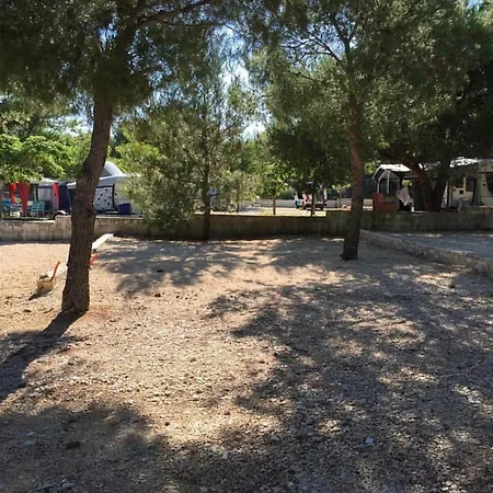 Camping Kamp Plava Laguna, Drage
